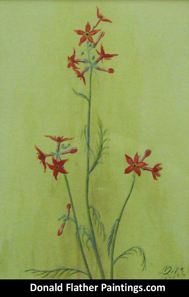 Dr. DM (Donald McIntosh) Flather original Canadian oil floral Untitled Still Life painting